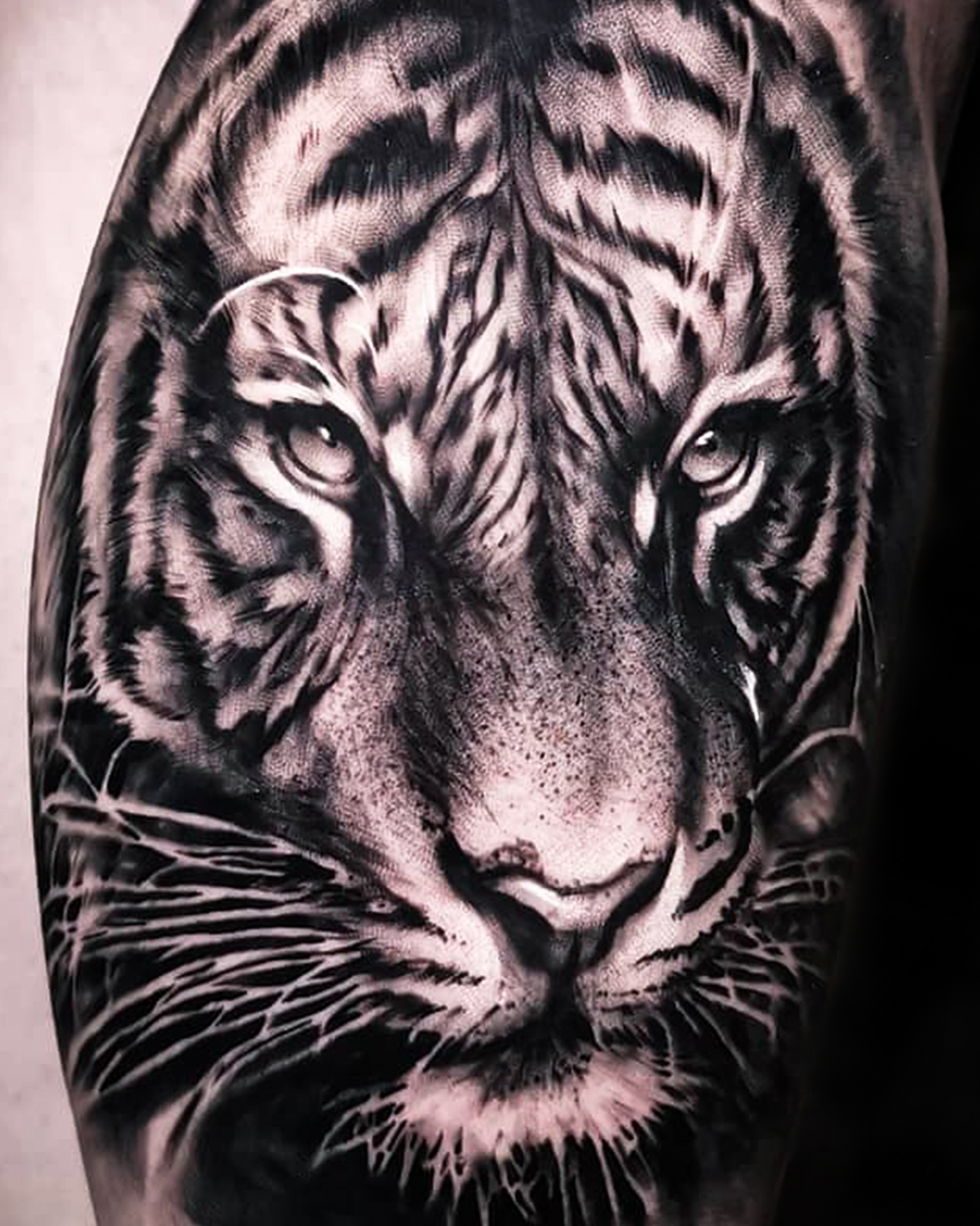 tiger realistisk tattoo fra Preben