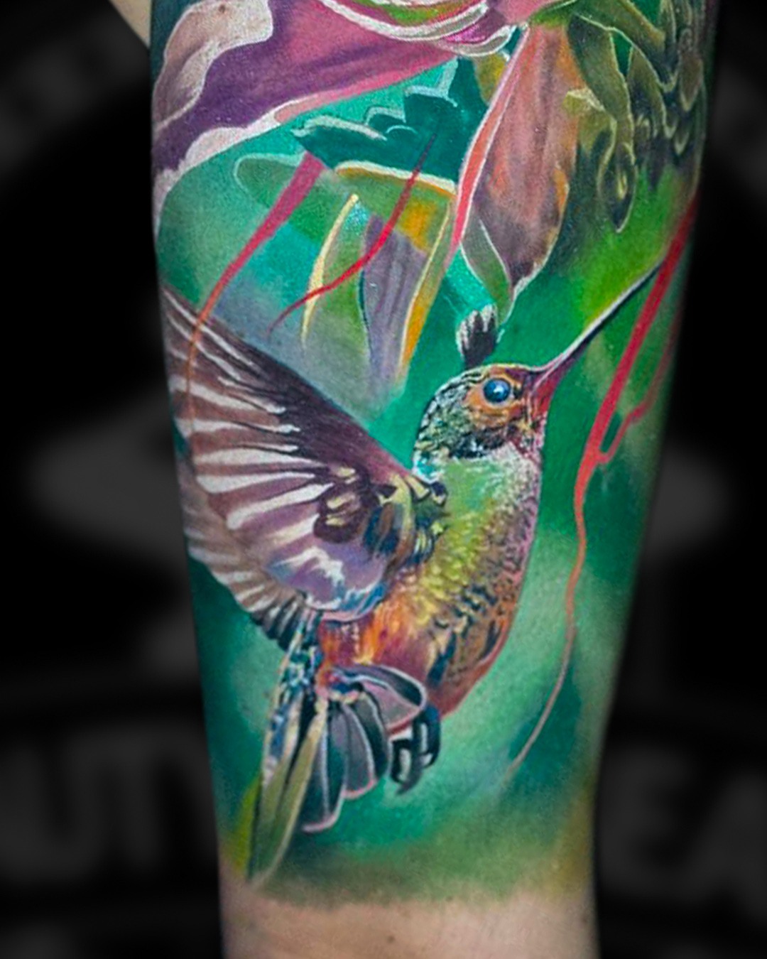 Kolibri tattoo